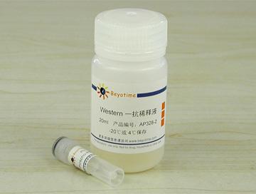 Phospho-PERK(Thr980)抗体(兔单抗)